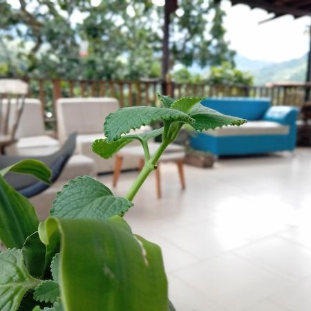 Hostal Los Wichos 米卡 外观 照片