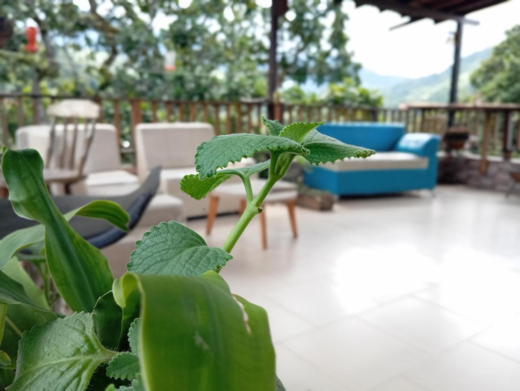 Hostal Los Wichos 米卡 外观 照片